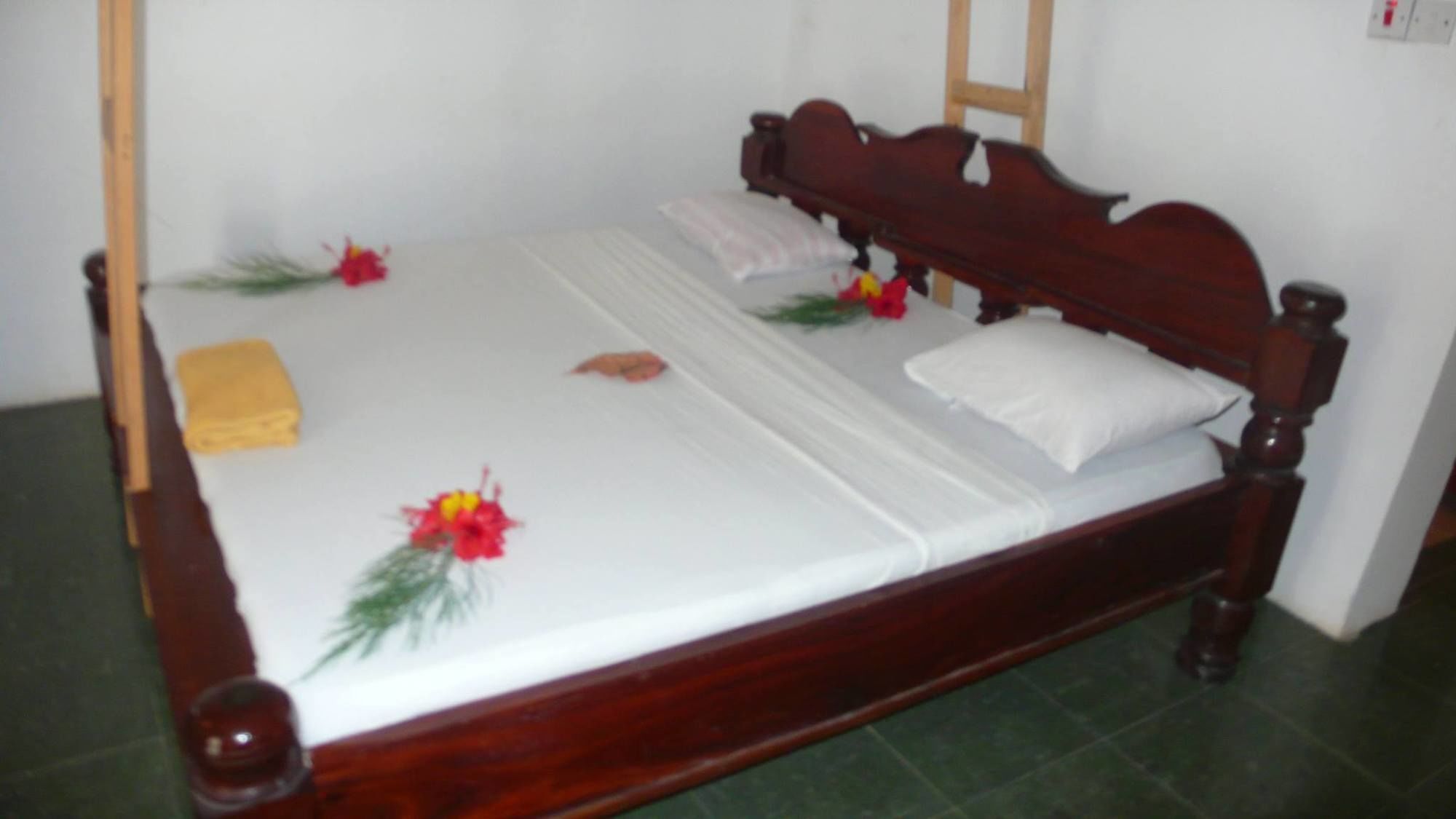Union Beach Bungalow Nungwi Extérieur photo