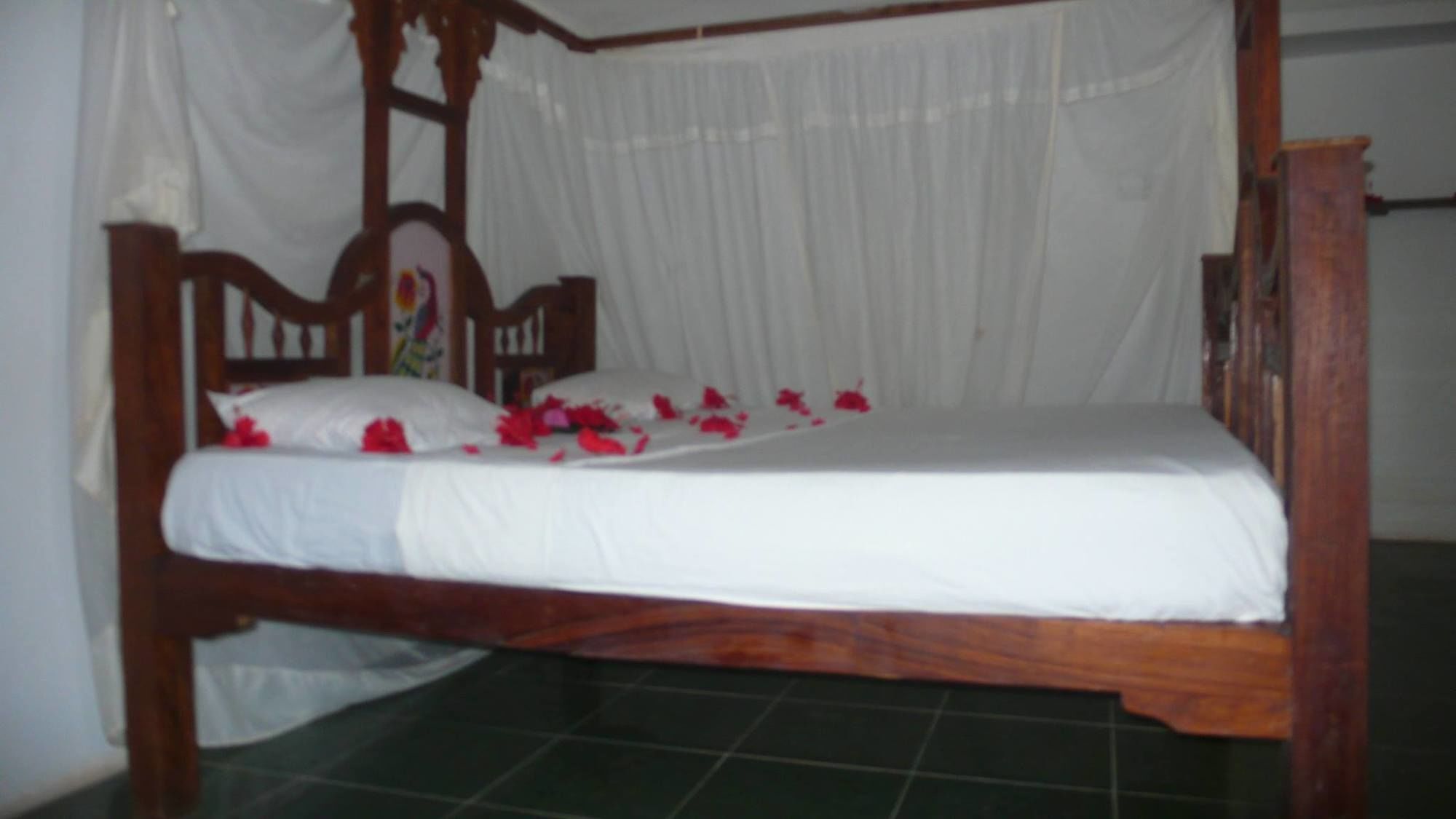 Union Beach Bungalow Nungwi Extérieur photo